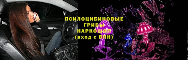 шишки Алзамай