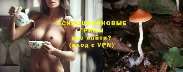 шишки Алзамай