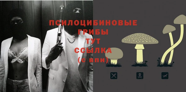 шишки Алзамай