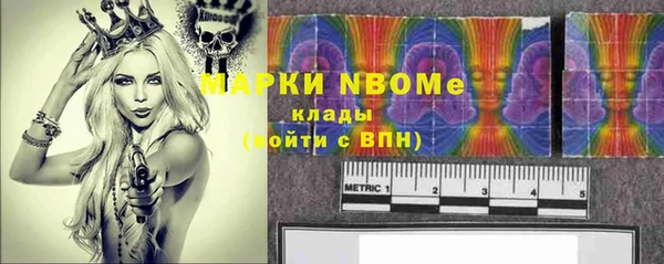 шишки Алзамай