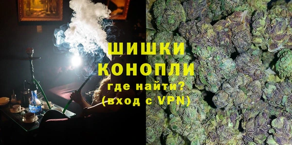шишки Алзамай