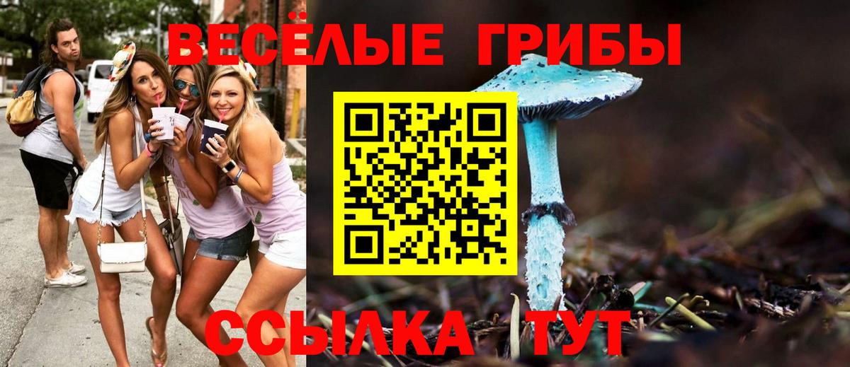 Псилоцибиновые грибы Magic Shrooms Йошкар-Ола