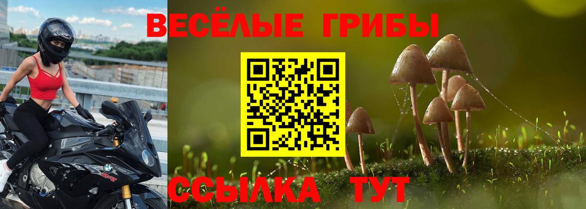Йошкар-Ола  Галлюциногенные грибы Cubensis  Вход с VPN 