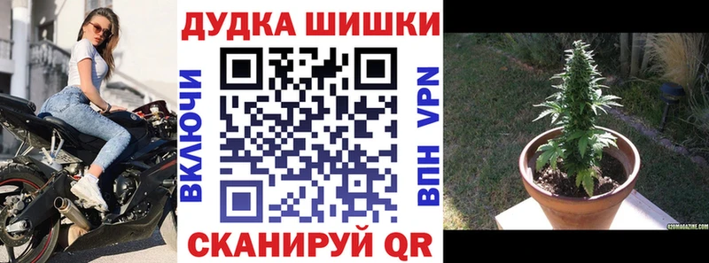 Бошки марихуана конопля  Йошкар-Ола 